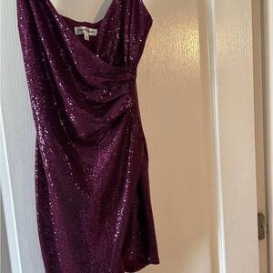 Elegant Purple Sequin Dress